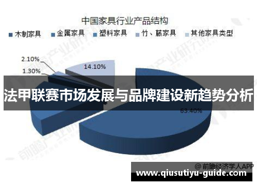 法甲联赛市场发展与品牌建设新趋势分析