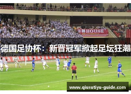 德国足协杯：新晋冠军掀起足坛狂潮